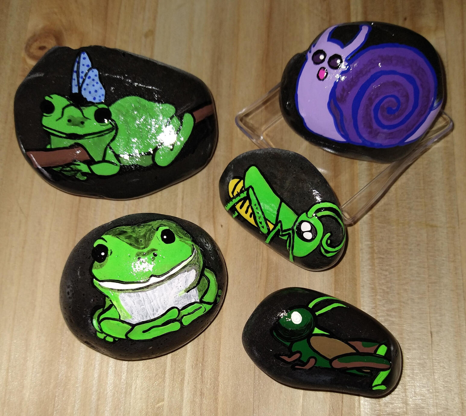 Rocks: Frogs and Critters